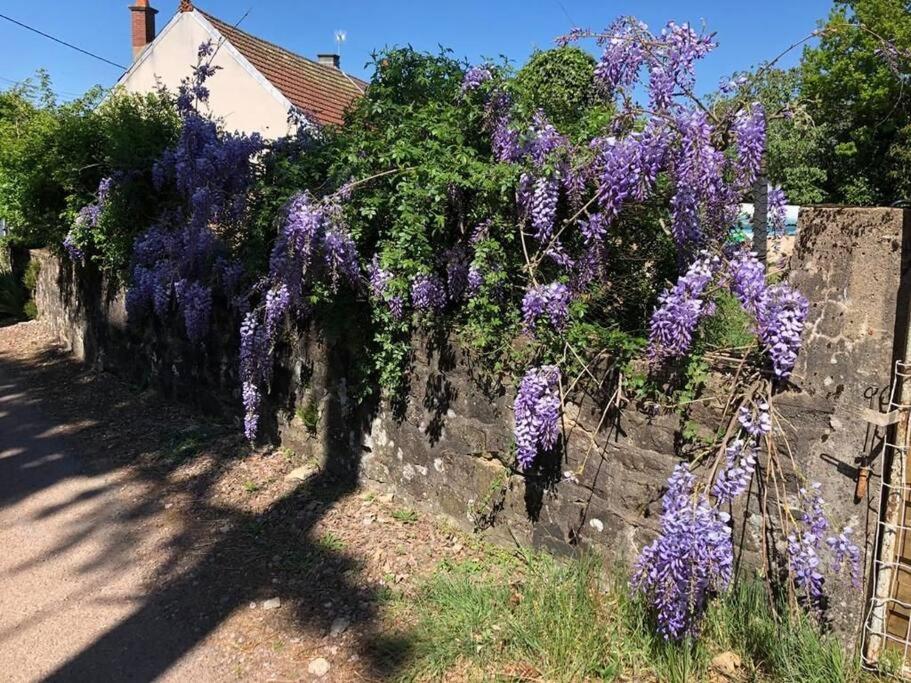 La Petite Maison D'Orphee Marmagne  Kültér fotó