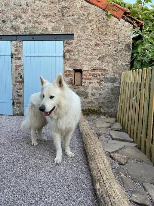 La Petite Maison D'Orphee Marmagne  Kültér fotó
